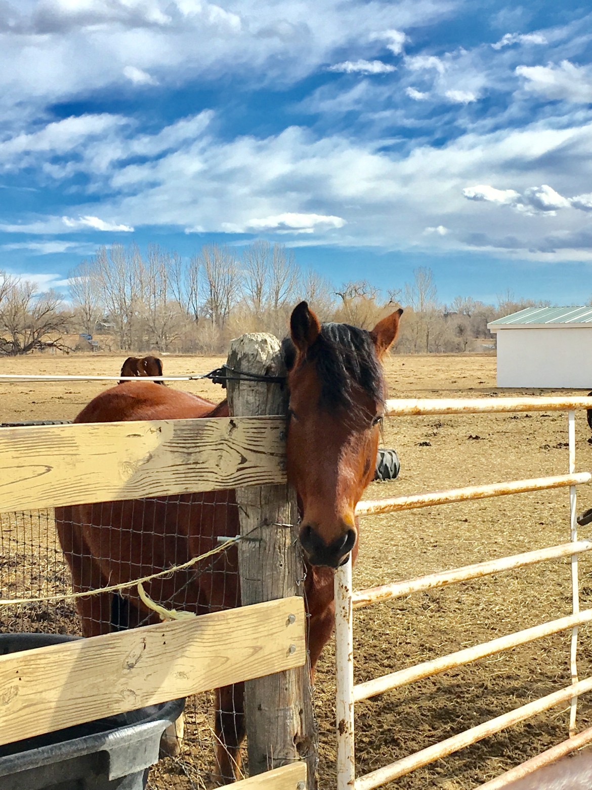 Contact Carlisle Equestrian Center